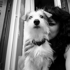 Ele