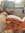 Siddhanth Ravi
