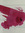 Sasha Belmont