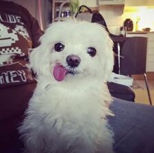 3fslover ˶ˆ꒳ˆ˵