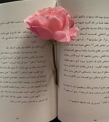 shams