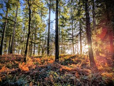 Bethany Grattan-McInnes