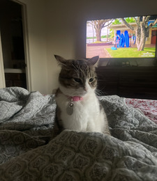Mia