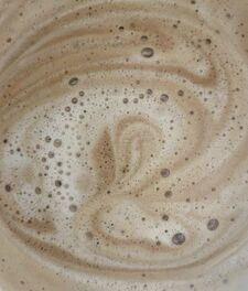 meg!! ꒰ᐢ. .ᐢ꒱₊˚⊹