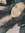 Samantha Soto