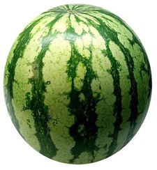 Watermelon T1