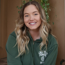 Isabelle Herbert