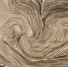 Radioactive  Potatoes