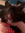 Pene B