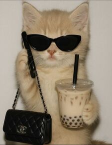 Saranya ⋆☕︎ ˖