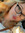 Alizandrac_
