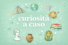 Curiosità a Caso