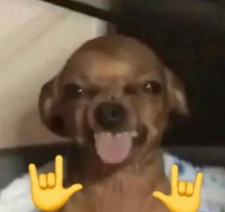 disco tonisko