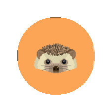 Sergi