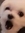 Chri