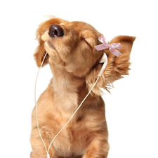 luisa ☁️•*.•