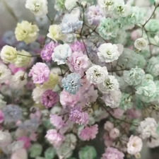 Isobel ೃ࿔ ✿⋆˚