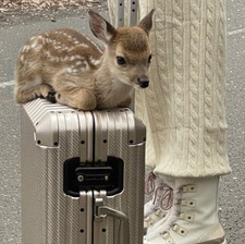 Julie ღ ❦ ╰☆╮