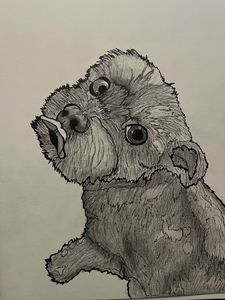 Grippler