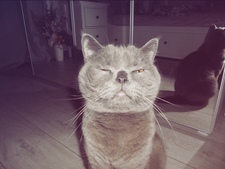 Miruna