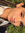 Rafa Fausto