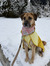 Abby Gr...