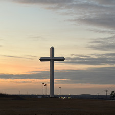 Madi Cooley