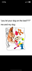 Cam