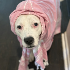 Penny Stroozas