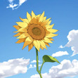 Yuyan