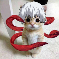 Gowrikeppens