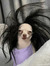 Kiara T...