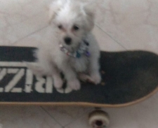 MijuGG