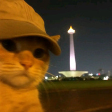 ⋆˚｡⋆୨✧୧˚ isel ˚୨✧୧⋆｡˚⋆