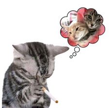 شمس