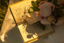 Josephine °❀⋆