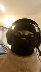 Maťa