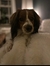Nienke