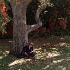 gabi ₍ ᐢ.ˬ.ᐢ₎˚୨୧