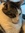 Casie H
