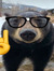 🐻