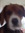 Thomas Doggart