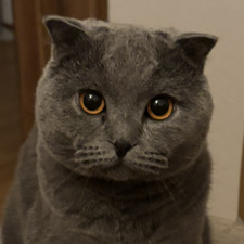 Vih