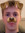 Nick helbig