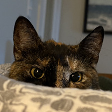 Sarah