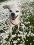 Annika ...