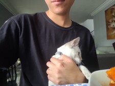 pvnu