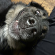 Sam