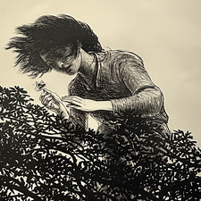 Evelyn
