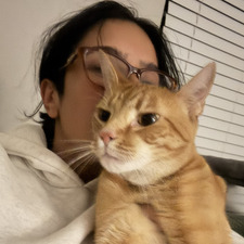 tim 